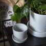 Waston Pot with Saucer – Off White – 3.5″